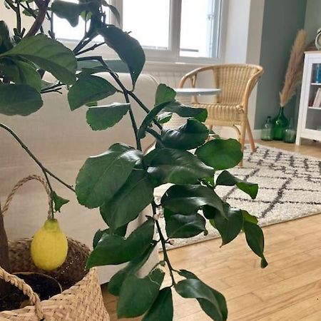 富埃南Le Citronnier公寓 外观 照片